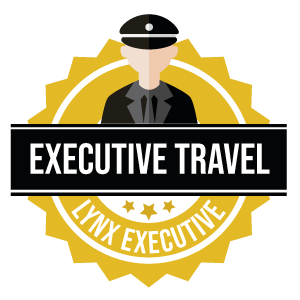 executive travel icon