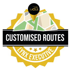 custom routes icon